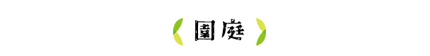 園庭