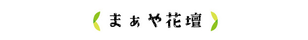 まぁや花壇
